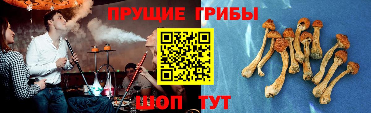 Галлюциногенные грибы ЛСД Томск
